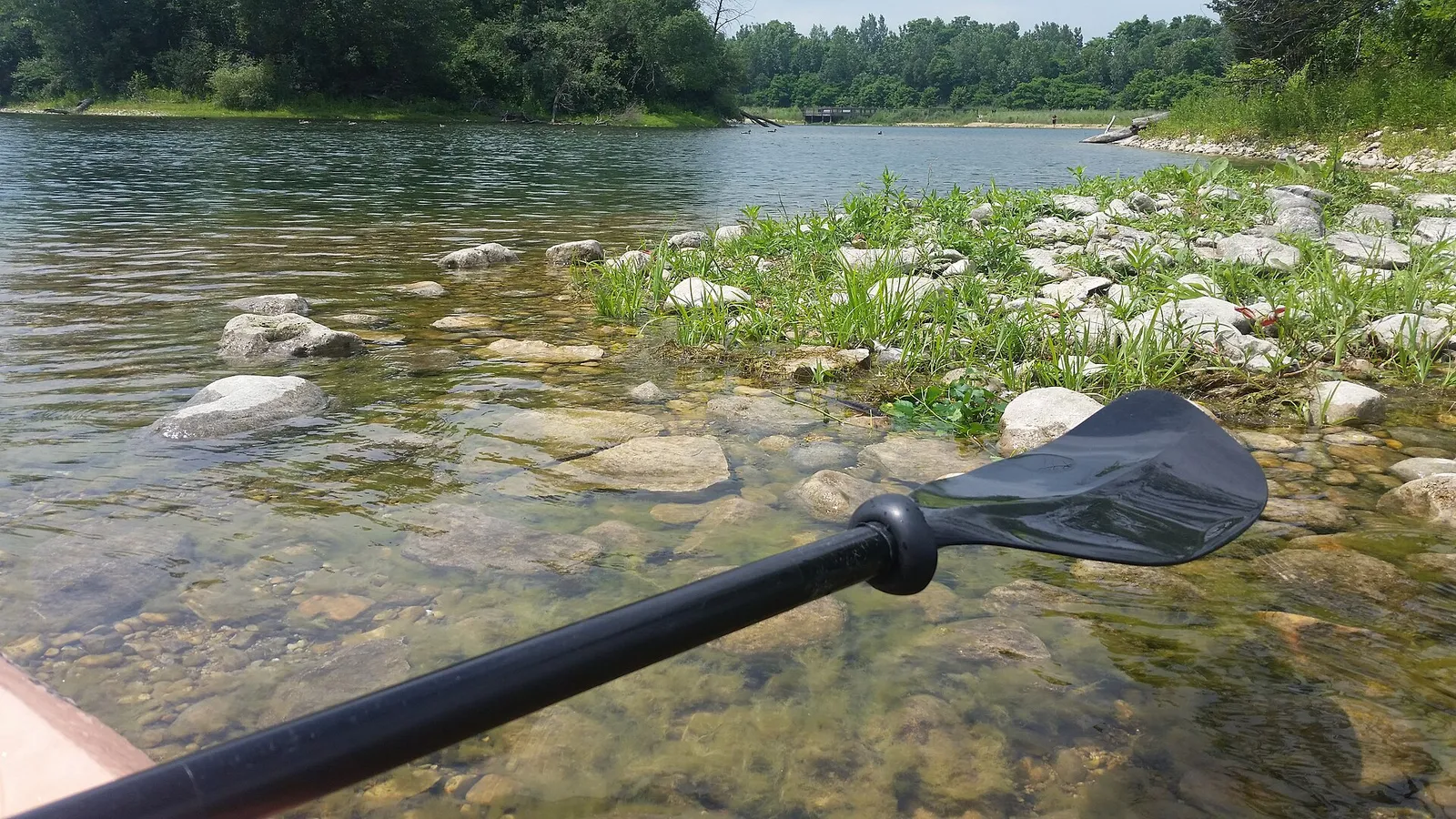 View from a kayak beside a rocky shoreline and wildflowers at Three Oaks Recreation Area